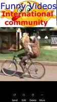 Funny Videos Community  International Affiche