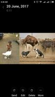 3 Schermata Funny Videos Community  International