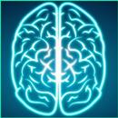 APK Word brain game