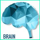 Mind Exercise icono