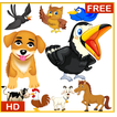 Animal - Birds Sound App