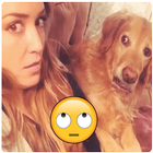 🐒 Funny animals video clips and memes 🐒😂 simgesi