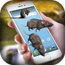 Mouse On Screen Pro - Mouse On Screen Scary Joke APK