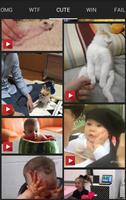 Funny Videos ภาพหน้าจอ 3