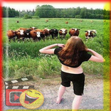 Best Funny Videos for Whatsapp