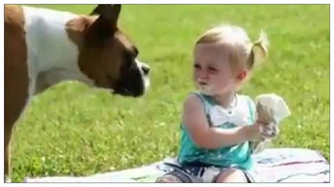 Funny videos, heavy jokes APK for Android Download Funny videos, heavy jokes APK for Android Download