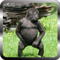 New funny videos đđđđ