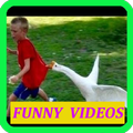 Funny Videos