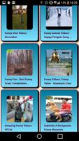 Videos graciososo 2018 ภาพหน้าจอ 1