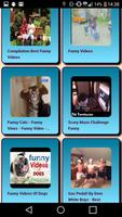 Videos graciososo 2018 ภาพหน้าจอ 2