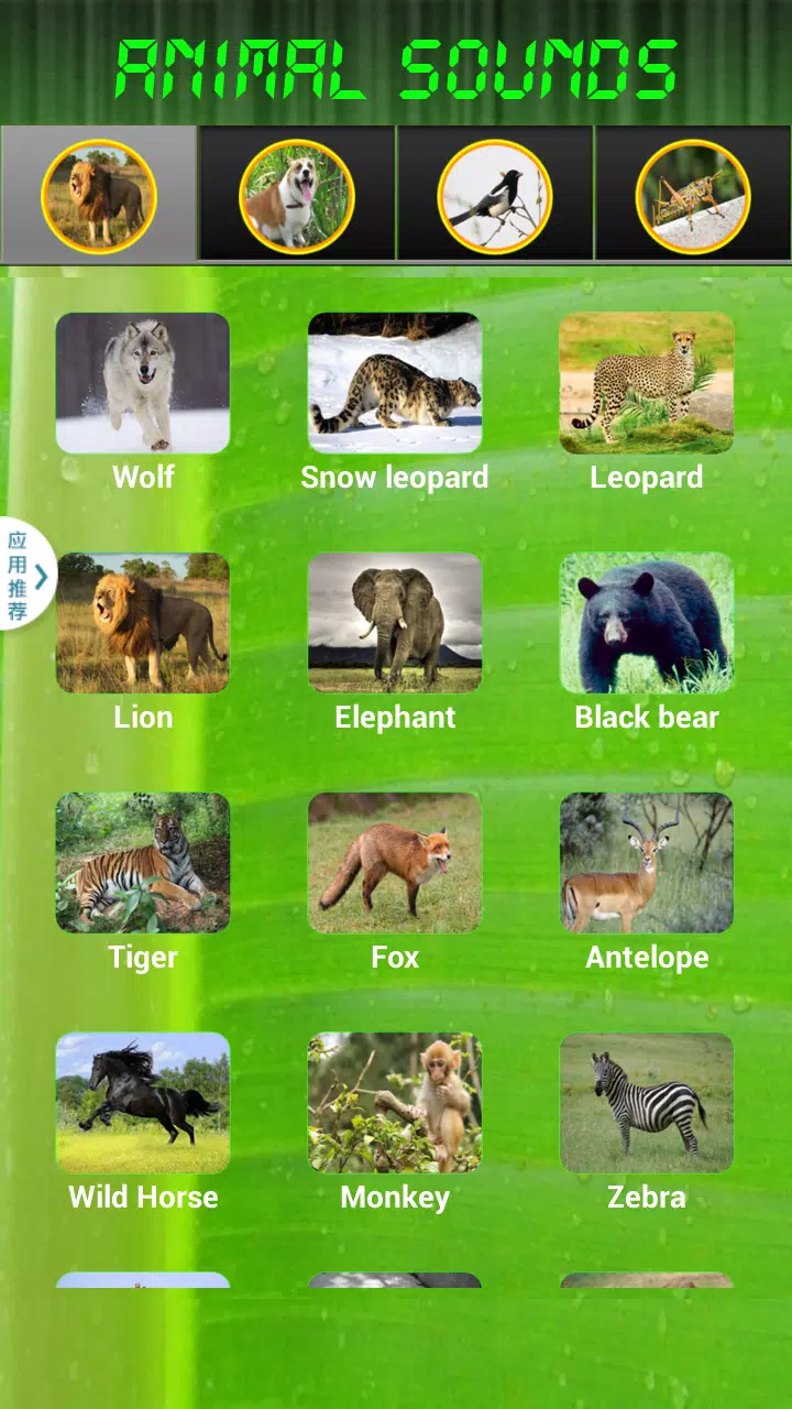 Animal Sounds APK for Android Download Animal Sounds APK for Android Download