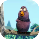 Funny Bird Live Wallpaper APK