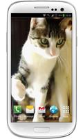 Funny Cats Live Wallpaper screenshot 3