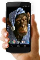 Funny Monkeys Live Wallpaper الملصق