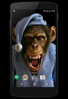 Funny Monkeys Live Wallpaper تصوير الشاشة 1