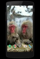 Funny Monkeys Live Wallpaper تصوير الشاشة 2