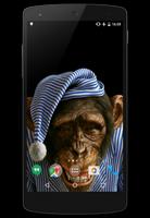 Funny Monkeys Live Wallpaper تصوير الشاشة 3