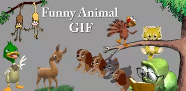 Funny Animal GIF