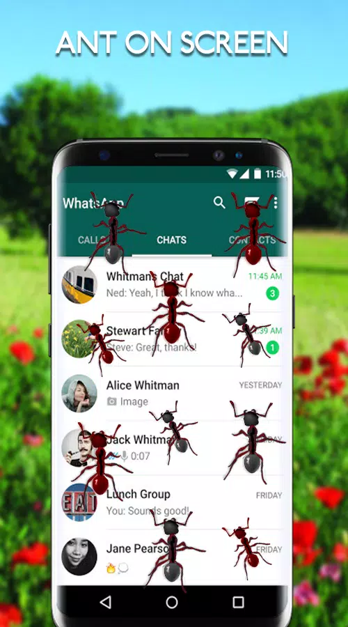 Ants on Screen - Ants in Phone Funny Joke APK for Android Download