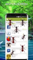 Ants on Screen - Ants in Phone Funny Joke 截圖 3