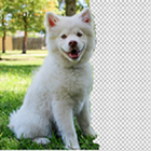 Background  Changer icono