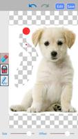 Background  Changer captura de pantalla 2