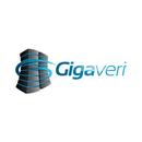 Gigaveri Müşteri Paneli APK