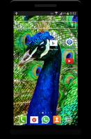 Birds Background Wallpaper HD 스크린샷 1