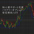 Icona 初心者サポート充実のバイナリーオプションで安定副収入FX