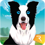 DOGS of TURA