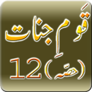 Qaum E Jinnat (Part 12) APK