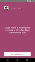 Chuck Norris: The Legend تصوير الشاشة 3