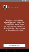 Chuck Norris: The Legend 海報