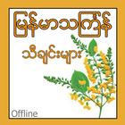 آیکون‌ Myanmar Thingyan Songs