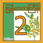 Myanmar Thingyan Songs 2 icône