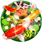 3D Koi Fish Theme ไอคอน