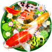 3D Koi Fish Theme