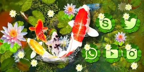 3D Koi Fish Theme APK download