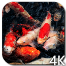 Koi 4K Video Live Wallpaper APK