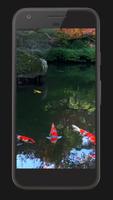 Koi Fish Live Video Wallpaper تصوير الشاشة 2