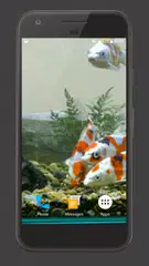 Koi Fish Tank Video Wallpaper XAPK download