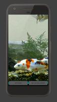 Koi Fish Tank Video Wallpaper 스크린샷 3