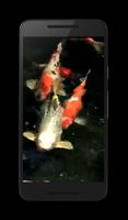 Koi 3D Live Wallpaper 海报