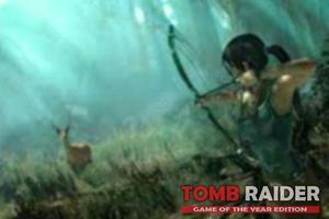 Tricks Tomb Raider screenshot 2