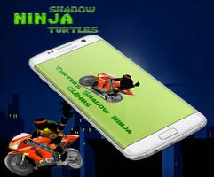 Ninja Shadow - Turtles Climbs الملصق