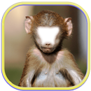 APE monkey face photo frame APK