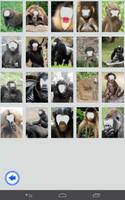 APE monkey face photo frame screenshot 1