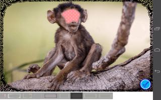 APE monkey face photo frame скриншот 3