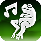 iFrog آئیکن