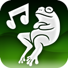 iFrog icono